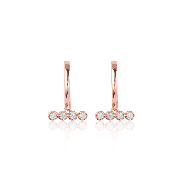 Elegant Shine Earrings